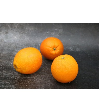 Orange de table - Lot de 3